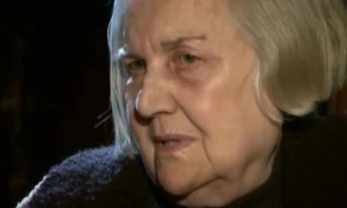 1 ileana vulpescu png png