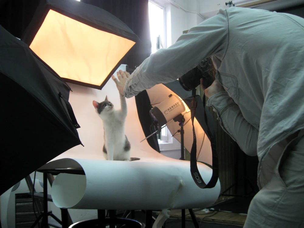 Shoot My Pet