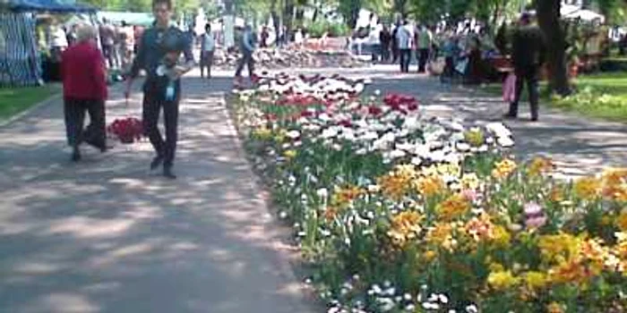 Grădina Mare