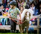 Karpatia Pony Show