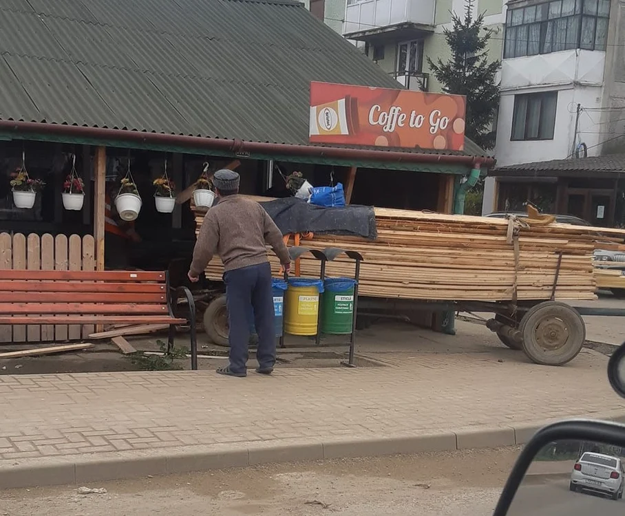 Calul pe terasă, atelajul pe trotuar FOTO ȘtiriNeamț.ro