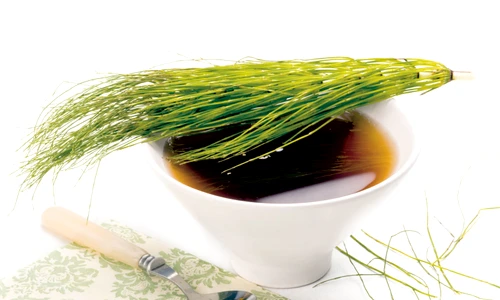 1 ceai de coada calului jpg jpeg