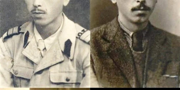 Alexandru Nicolschi