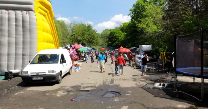 Pădurea Strehareţi de la marginea
Slatinei este băgată în seamă de autorităţile locale doar la zile mari - 1 Mai, în campanii electorale etc. (FOTO: M. Manea)