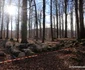 Sarmizegetusa Regia, solstitiu de iarnă  Foto Daniel Guță  ADEVĂRUL (15) JPG