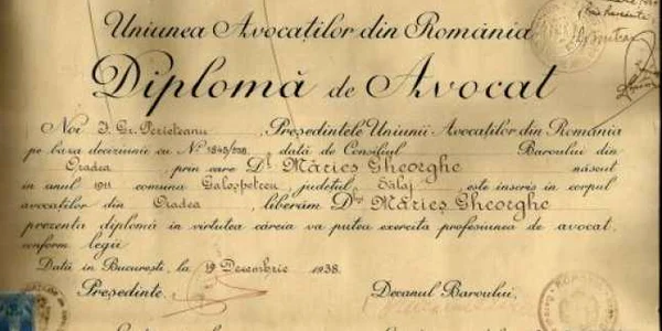 avocat vlahuta