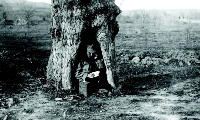 Serviciul Fotografic și Cinematografic al Armatei Române  O istorie cu multe lacune jpeg