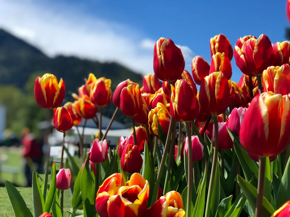FOTO: Shutterstock