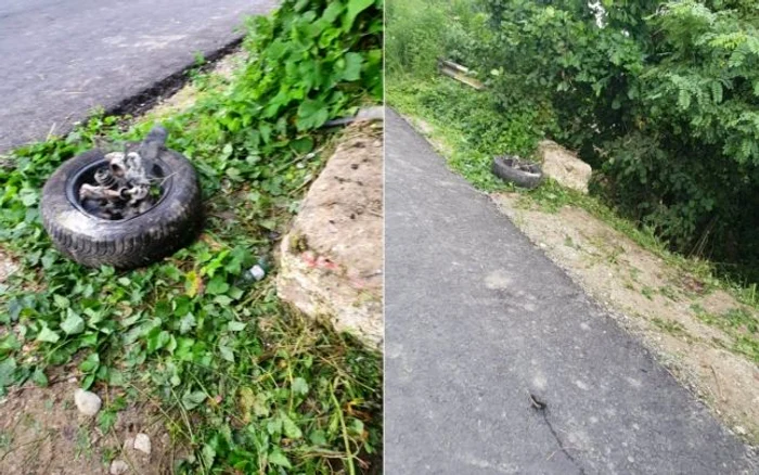 Imagini de la accidentul din Vâlcea de pe DJ 643B unde un tânăr rănit a fost abandonat în maşină de către prietenii săi Foto gazetavalceana ro