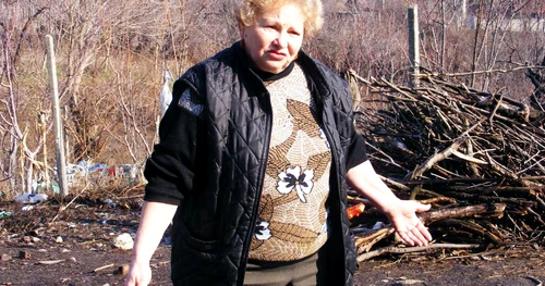 Maria Drăguţ