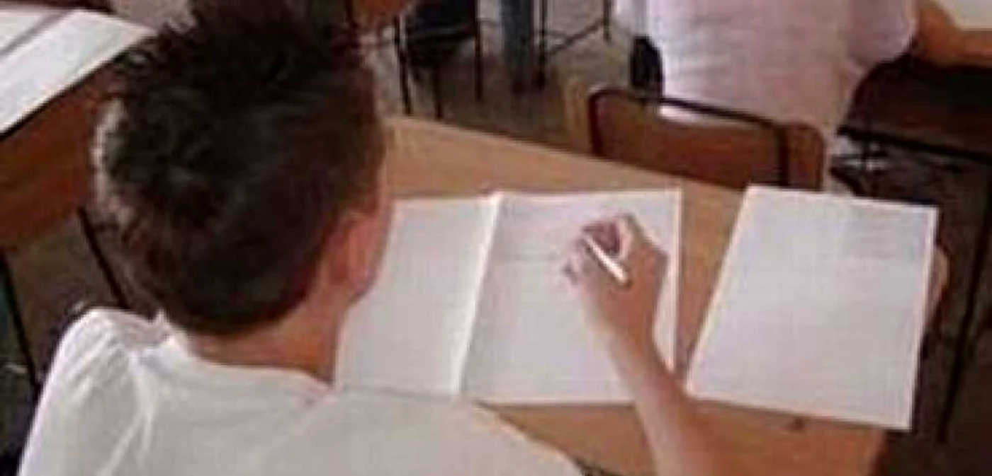 Suceava: Micii matematicieni revin acasă cu 18 medalii