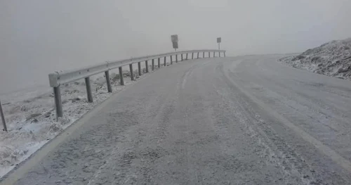 Transalpina