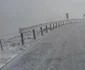 Transalpina