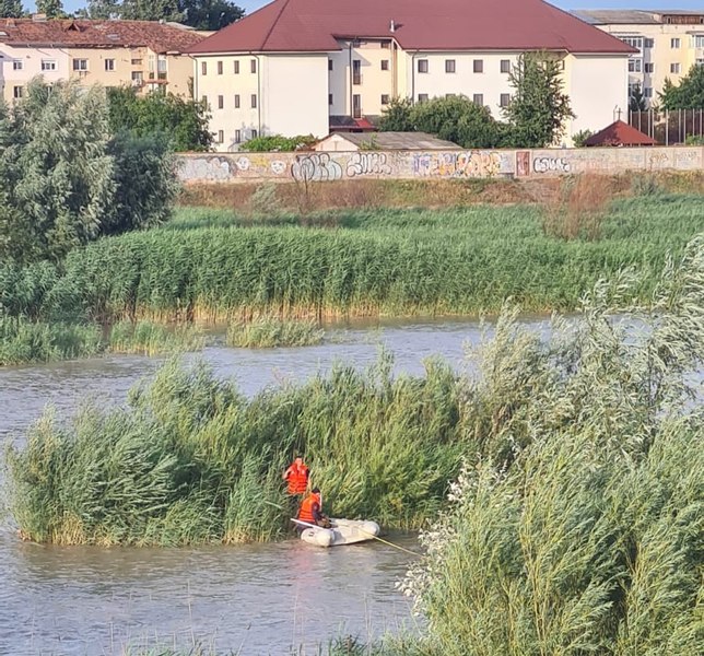 Şansa unui căţel salvat de pe o insulă a râului Moldova, în Neamţ. A fost adoptat de un pompier