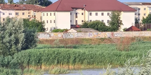 pompieradoptat jpg