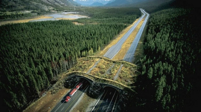 Provincia Alberta-Canada