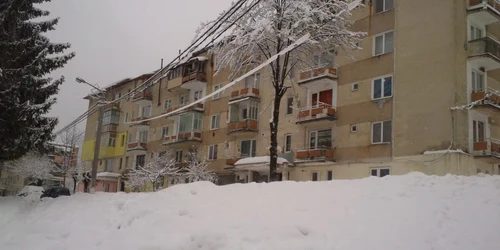ninsori cavnic