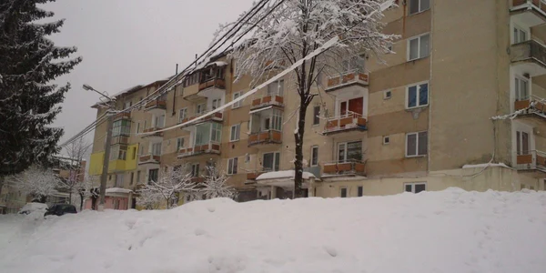 ninsori cavnic