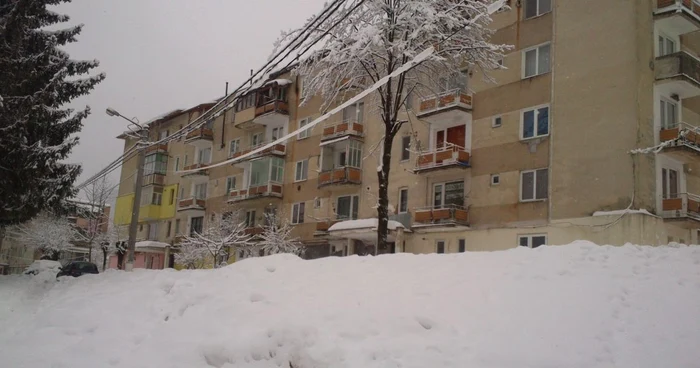 Foto arhivă