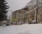 ninsori cavnic