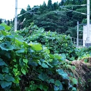 Screenshot 2026 01 23 180035 jpg