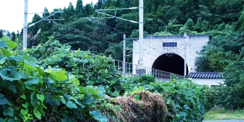 Screenshot 2026 01 23 180035 jpg