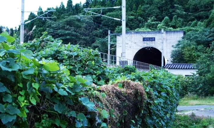 Tunelul subacvatic FOTO: Getty images