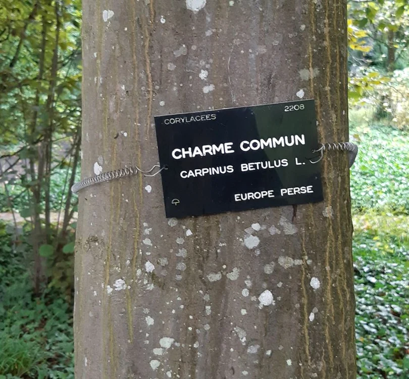 Cu ochii n 3,14 jpeg
