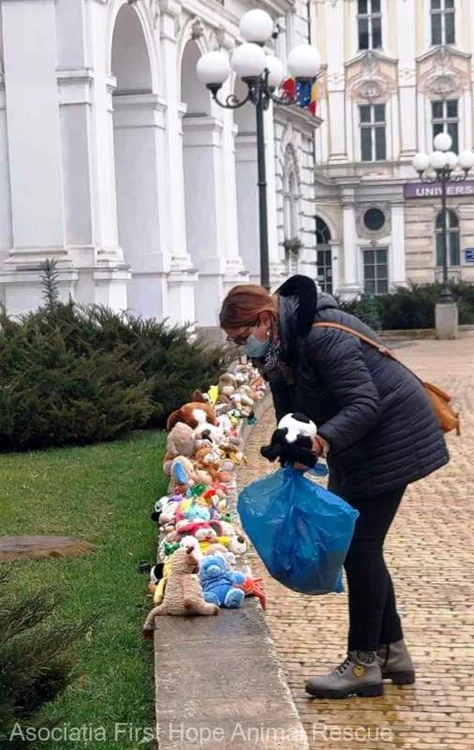 FOTO Asociaţia First Hope Animal Rescue