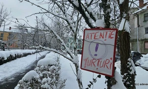 Ninsori, zapada, iarna turturi  Foto Daniel Guță ADEVĂRUL (10) jpg