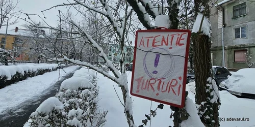 Ninsori, zapada, iarna turturi Foto Daniel Guță ADEVĂRUL (10) jpg