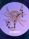 Horoscop Scorpion png