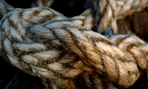 Dilema think tank urilor jpeg