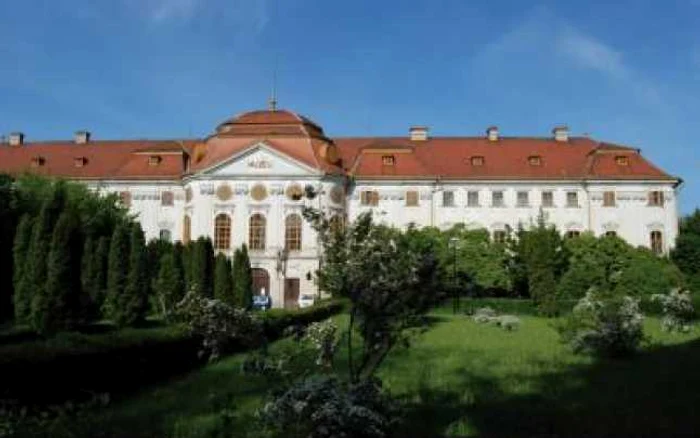 Palatul Baroc va găzdui o expoziţie cu cele mai interesante elemente ale proiectului