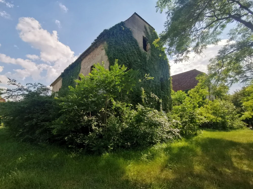 Castelul de la Banloc aşteaptă vremuri mai bune FOTO Ş.Both