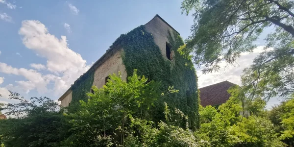 Castelul de la Banloc aşteaptă vremuri mai bune FOTO Ş.Both