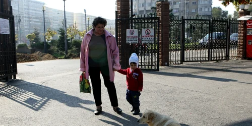 hingheri parcul tei FOTO Marian Iliescu