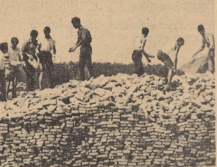 Lucrări la reconstrucția cetății. Foto: Drum Nou, 1968