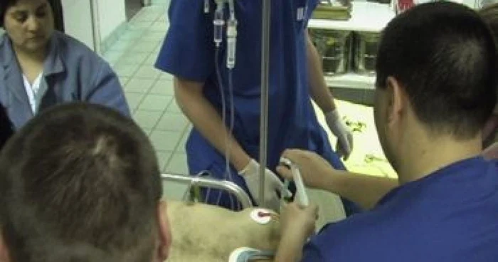 Iaşi: Un medic stomatolog a murit într-un accident la Mirceşti