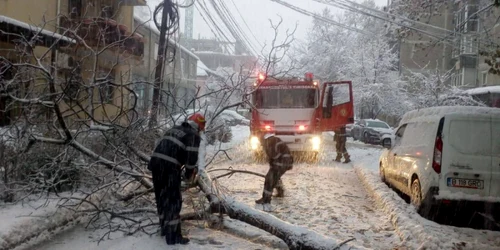 Trafic iarna - zapada - copaci cazuti FOTO Departamentul pentru Situaţii de Urgenţă