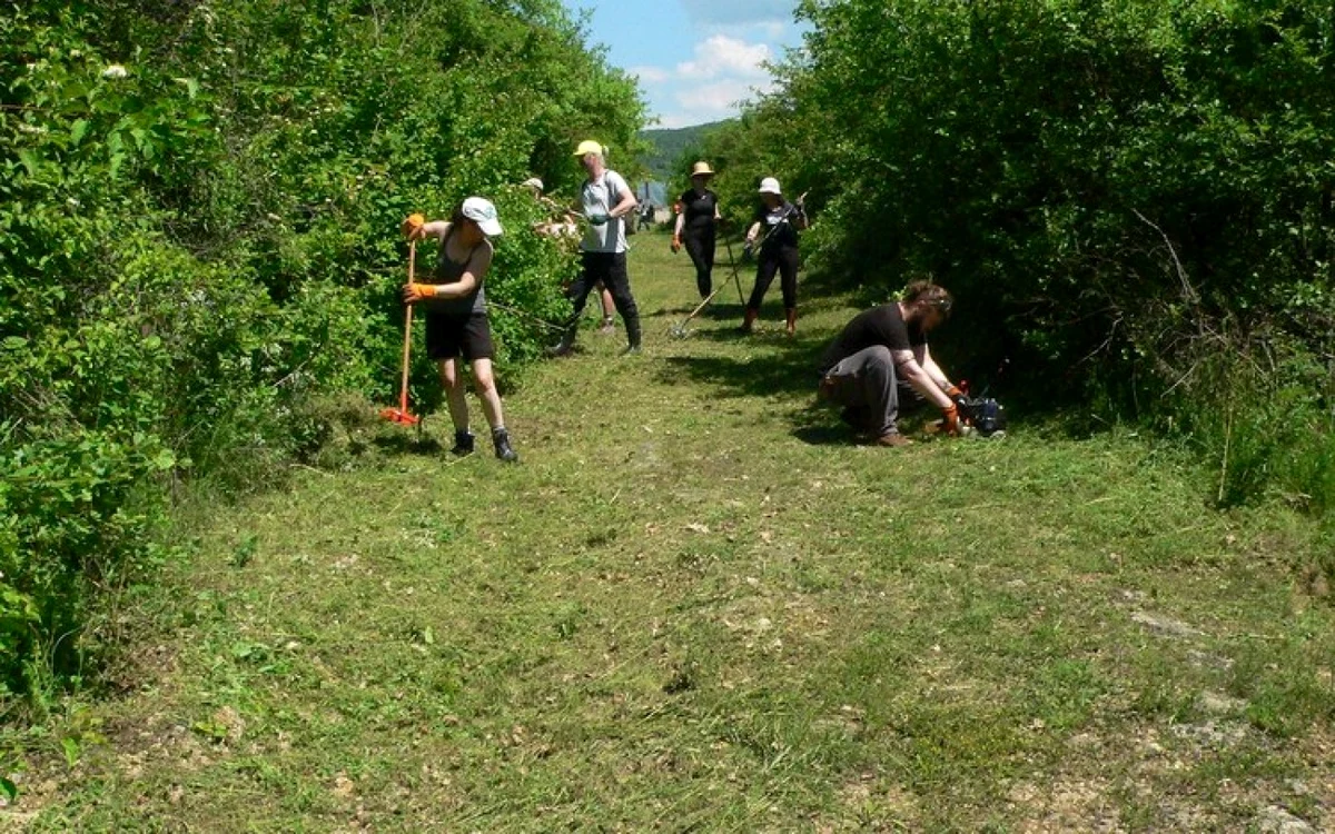 Drumul antic roman de la Germisara, curăţat. Foto: Terra Dacica Aeterna.