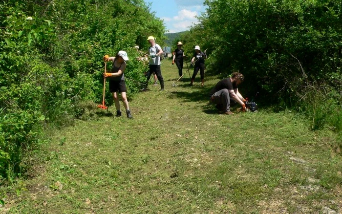 Drumul antic roman de la Germisara, curăţat. Foto: Terra Dacica Aeterna.