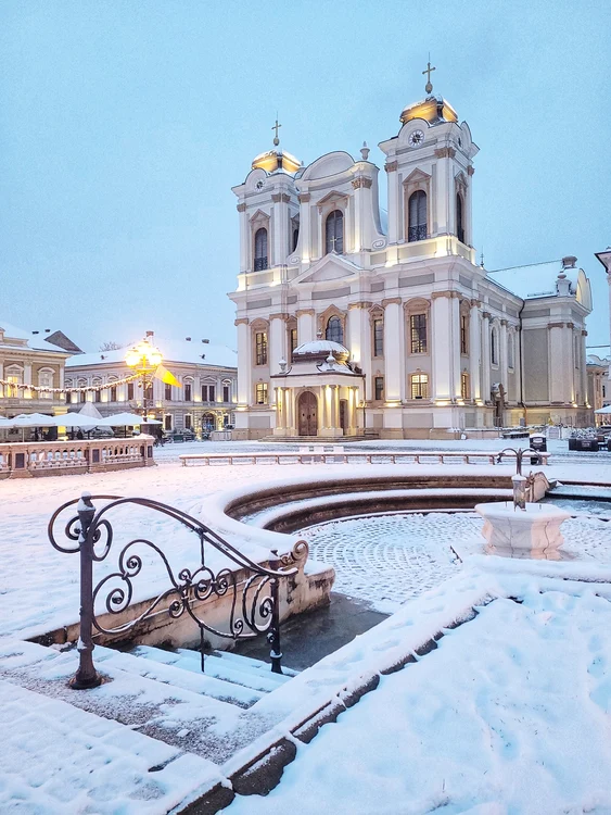 Prima ninsoare din 2014 la Timișoara FOTO Răzvan Vitionescu