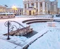Prima ninsoare din 2014 la Timișoara FOTO Răzvan Vitionescu