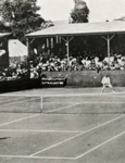 Cum a apărut ideea campionatului de tenis de la Wimbledon jpeg