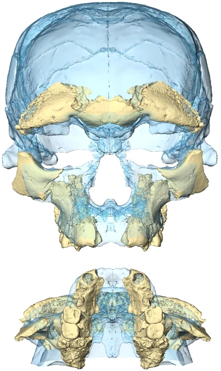 Figure 12 jpg jpeg