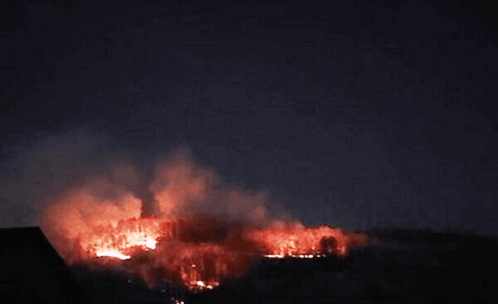 Hoții de lemne își incendiază urmele din pădure. Mii de metri pătrați pârjoliți în Dâmbovița