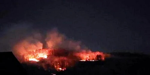 Hoții de lemne își încendiază urmele din pădure. FOTO cronica-gaestiului.ro