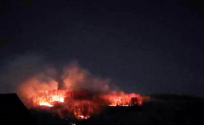 Hoții de lemne își încendiază urmele din pădure. FOTO cronica-gaestiului.ro