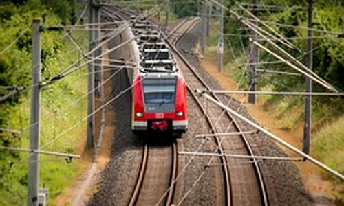 tren jpeg